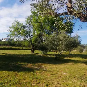 S&m , Sveti Filip i Jakov Croazia